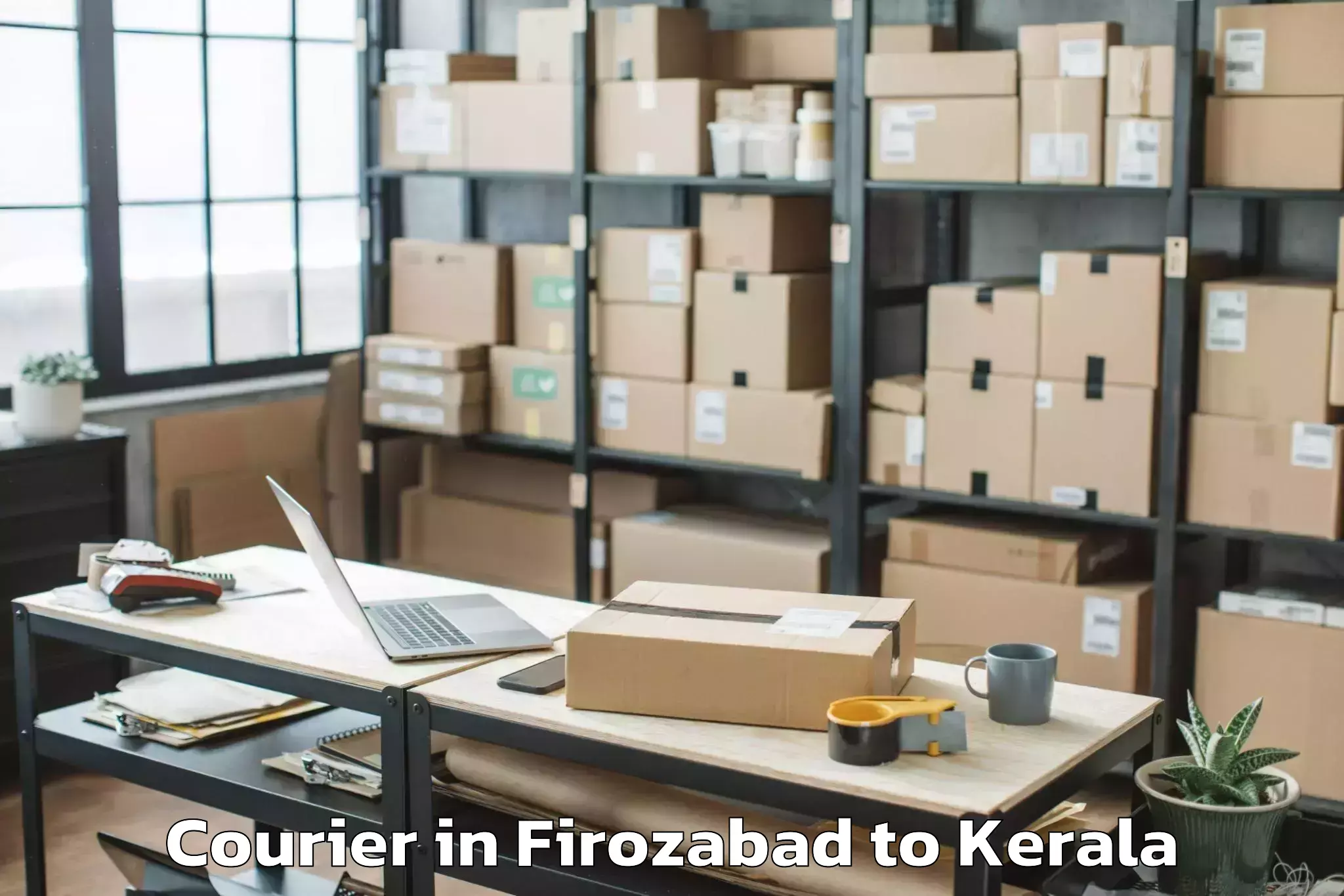 Professional Firozabad to Karunagappally Courier